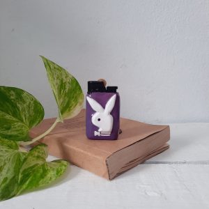 Fancy gas lighter